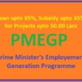 90% to 95% Loan and 15% to 35% Capital Subsidy under PMEGP scheme in India