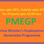 90% to 95% Loan and 15% to 35% Capital Subsidy under PMEGP scheme in India