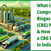 What is a Compressed Biogas (CBG) Plant and How to Start a CBG Plant in India ?